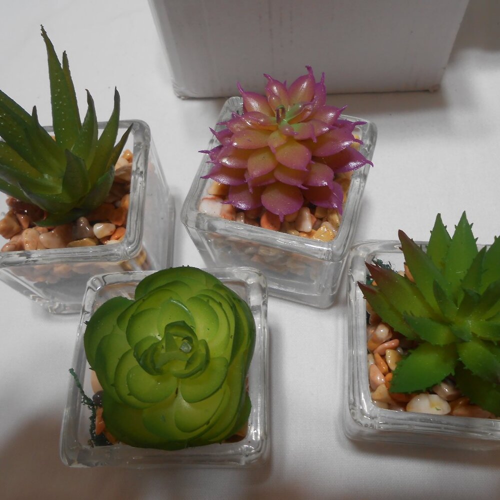 ESPOIR LIVING SET OF 4 GLASS CUBE ARTIFICIAL SUCCULENT PLANTERS ROCK PLANTS NIB